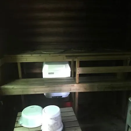 Moekki Palojaervellae, Vihti Vihti